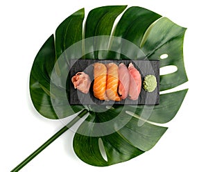 Salmon nigiri sushi and maguro tuna susi set on green palm leaf