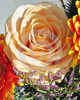 A salmon pink rose in a flower arrangement