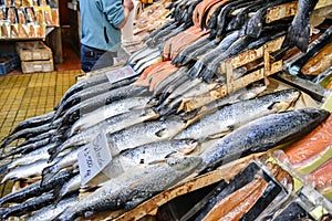 Salmon in Puerto Montt, Chile