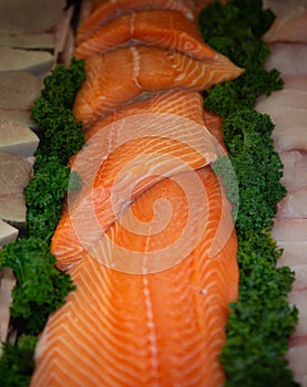 Salmon Ready for Grilling