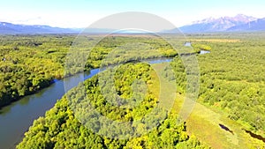 Salmon Return to Spawn Kamchatka august 2018