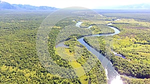 Salmon Return to Spawn Kamchatka august 2018