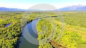 Salmon Return to Spawn Kamchatka august 2018