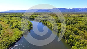 Salmon return to spawn Kamchatka august 2018