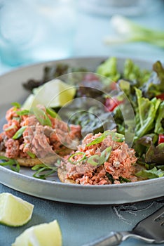 Salmon Salad