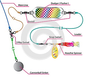 Salmon and saltwater trolling rig with a flasher and spinner hoochie diagram Vector