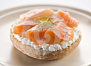 Salmon sandwich