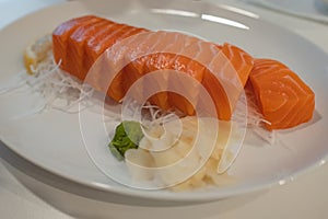 Salmon Sashimi fish Japanese food. Salmon raw sashimi on white plate