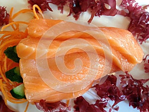 Salmon Sashimi (Raw Salmon) on Plate.