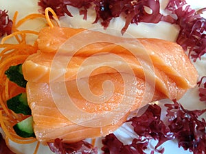 Salmon Sashimi (Raw Salmon) on Plate.