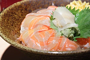 Salmon Sashimi Rice