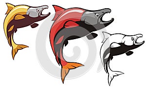 Salmon Sockeye Fish Vector