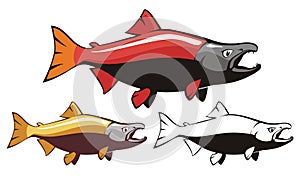 Salmon Sockeye Fish Vector