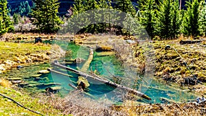 A salmon spawning channel on Cayoosh Creek in British Columbia, Canada