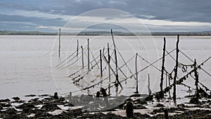 Salmon stake nets at low tide on the River Cree estuary at Carsluith, Scotland photo