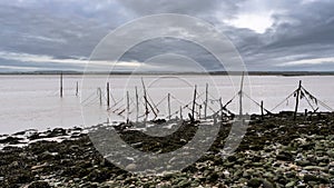 Salmon stake nets at low tide on the River Cree estuary at Carsluith, Scotland photo