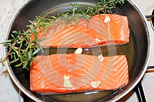 Salmon