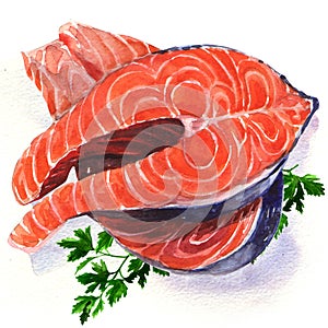 Salmon steak red fish