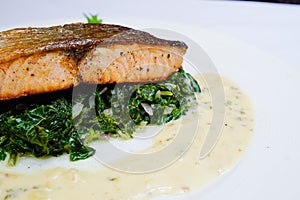 Salmon steak on spinach, selective focus