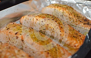 Salmon steaks oven roasted on a foil close up