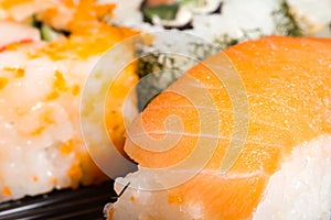 Salmon Sushi Closeup