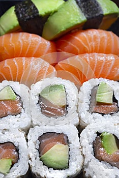 Salmon sushi rolles