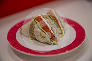 Salmon sushi sandwich