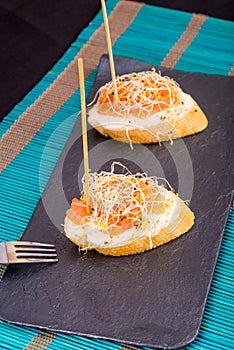 Salmon tapa