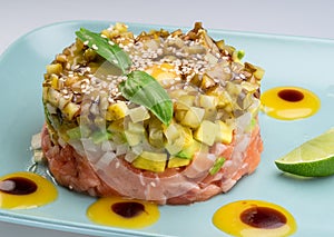 Salmon tartare dish on blue plate close up