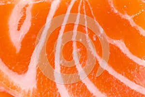 Salmon texture