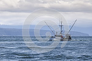 Salmon Troller in Southeast Alaska