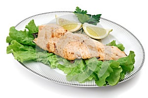 Salmon trout with lettuce