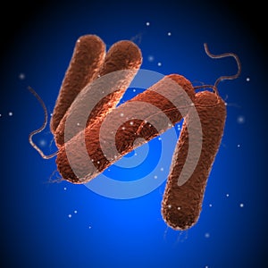 Salmonella Bacteria - on blue background