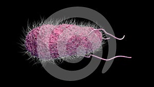 salmonella bacteria isolated on black background. 3d illustration