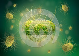 Salmonella is a bacterium that causes food poisoning in humans