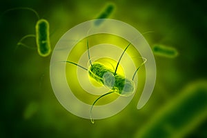 Salmonella bacterium with flagella microscopic view 3D illustration