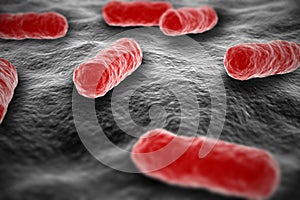 Salmonella bacterium microscopic view on surface