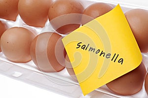 Salmonella Danger
