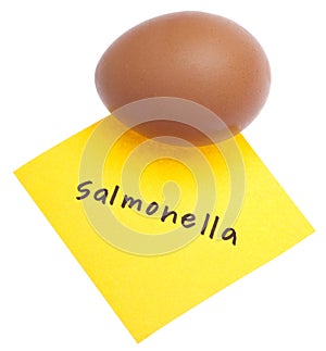 Salmonella Danger Egg