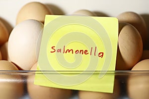 Salmonella word with eggs