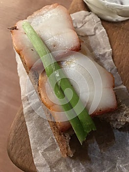 Salo and green onion on top of a slice of bread