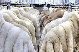 Salon on the sale of fur fur coats
