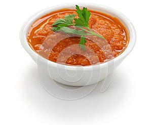 Salsa roja dip photo