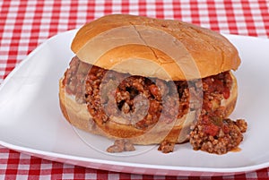 Salsa Sloppy Joe