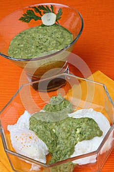 Salsa verde and cottage cheese sauce