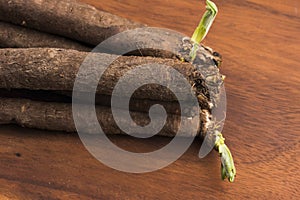 Salsify vegetables on wood