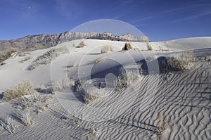 Salt Basin Dunes in Guadalupe Mountains National Park