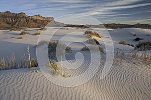 Salt Basin Dunes in Guadalupe Mountains National Park