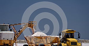Salt being collected in Walvis Bay, Namibia