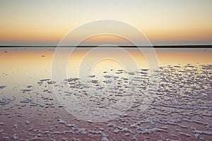 Salt and Brine of a pink lake, colored by microalgae Dunaliella salina at sunset